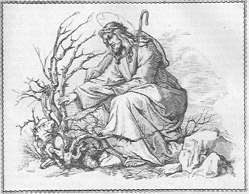 Der Heiland Jesus Christus, der gute Hirte, geht aus Barmherzigkeit und Liebe dem verlorenen Schaf, dem Sünder nach, der im Gestrüpp der Sünden gefangen ist, um ihn zu befreien, damit es nicht in den Abgrund der Hölle stürzt