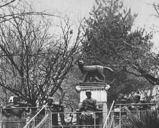 Kreuzwegstation in Lourdes Pilatus sitzt auf seinem Richterstuhl, hinter ihm auf einem Sockel ein Tier; rechts und links römische Soldaten, Jesus steht links und schaut zu Pilatus
