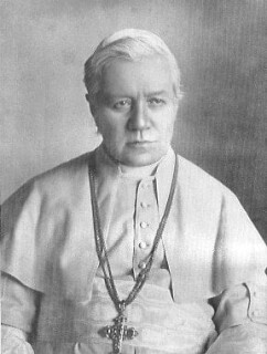 Ein Porträt von Papst Pius X.; er ist in weißer päpstlicher Kleidung zu sehen, er trägt ein schönes Kreuz und schaut ernst, aber fest entschlossen