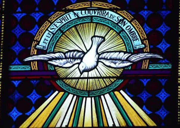 Die Glaubensquellen des Lehramtes: Der heilige Geist als Taube